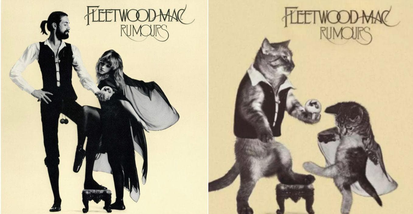 Genius Recreates Album Covers Featuring Cats