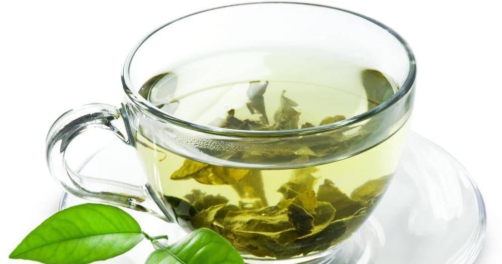 Best Green Tea Brands Top Green Tea Companies