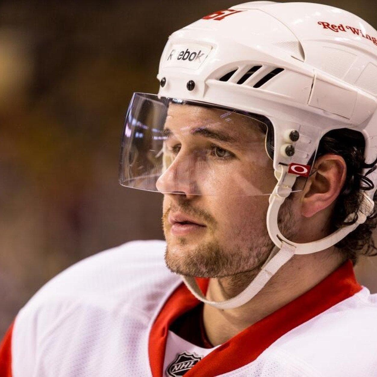 Famous French Hockey Players List of Hockey Players from France