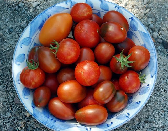 Harsh Truths About Healthy Foods And What You Can Do About It