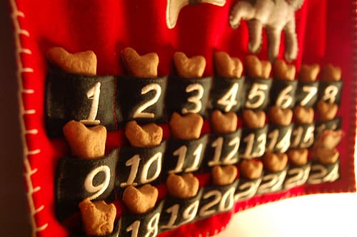Funny Advent Calendars | Silly Advent Calendars, Ranked Best to Worst