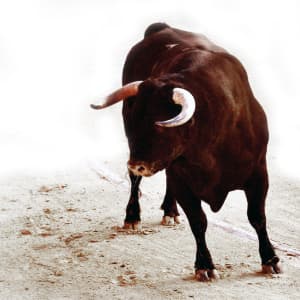 Sitehkpools | Writer For Ranker