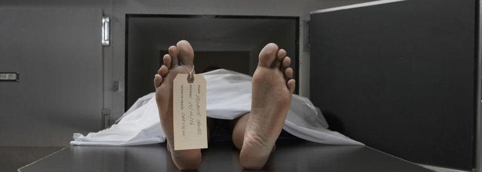 Wingsuit Death Stories Tragic Accounts Of Famous Base Jumpers