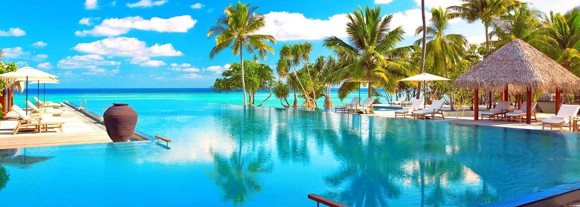 Animal Islands Vacation Spots For Animal Lovers