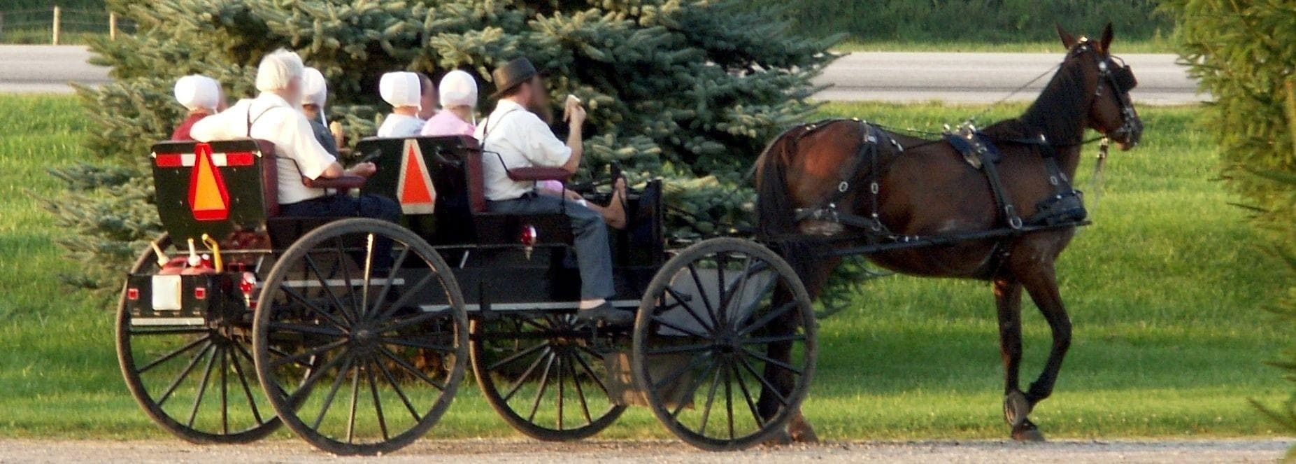 21 Amish Rumspringa Facts And Stories: What Really Happens