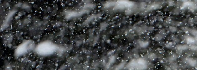 Famous People Who Died Skiing | List of Celebrity Skiing Deaths