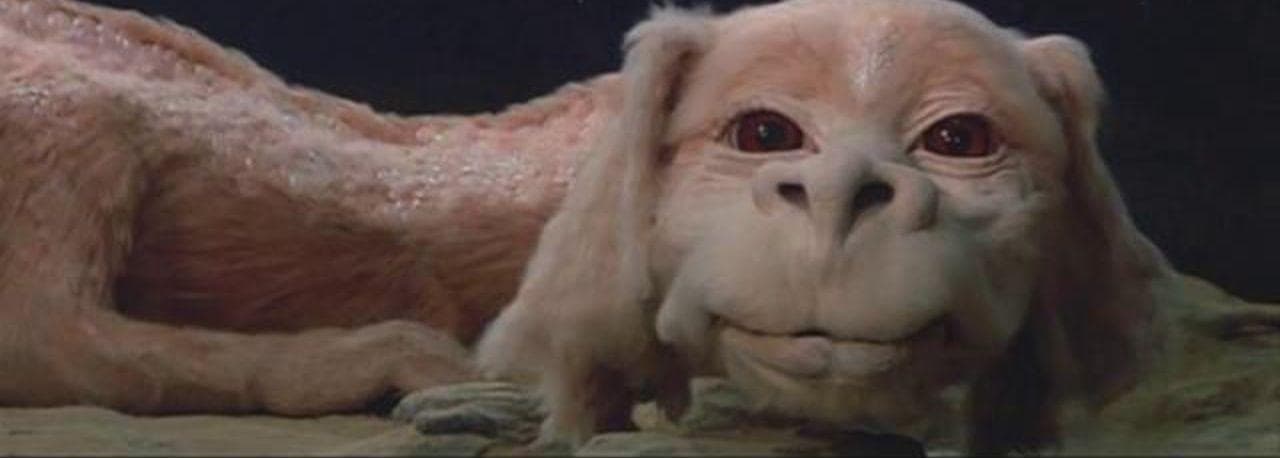 The Best Fantasy Tv Shows Of All Time Ranked By Fans