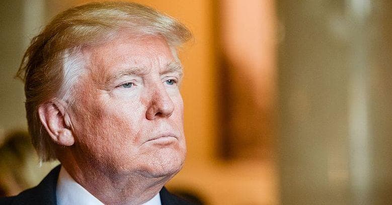 The Meanest Things People Have Ever Said About Donald Trump's Hair