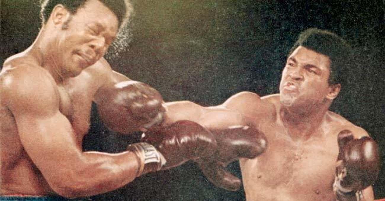 15 People Who Starred As Themselves In Their Own Biographical Movies