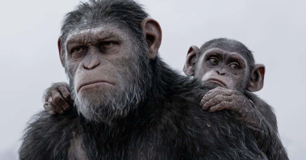 The 16 Best 'Planet Of The Apes' Characters, Ranked From Memorable To Forgettable