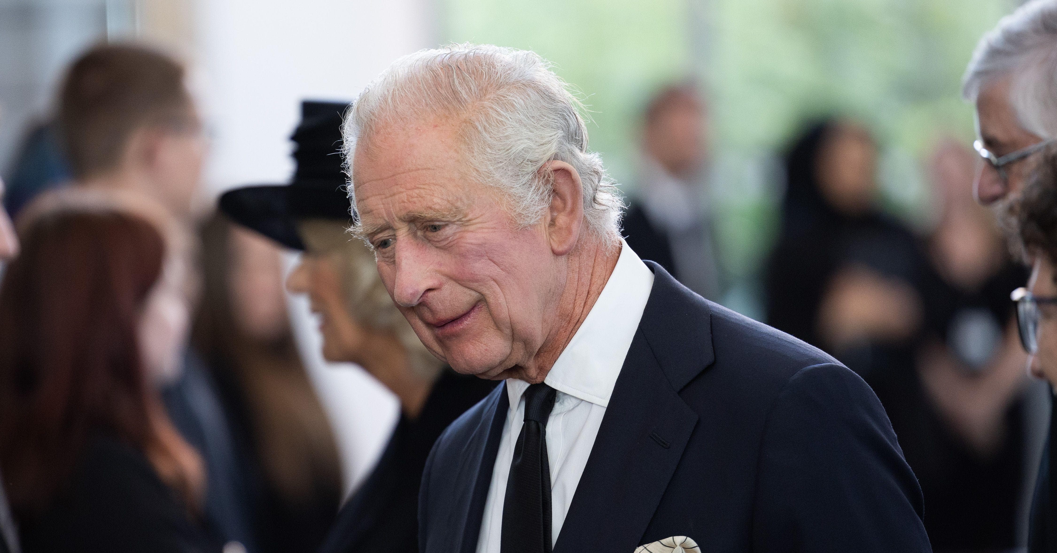 20 Of The Most Interesting Of The Many, Many Royals Named Charles
