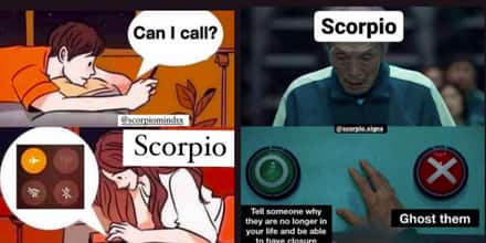 25 Scorpio Memes That Are Way Too Accurate