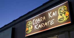 The Best Episodes of 'Cobra Kai'