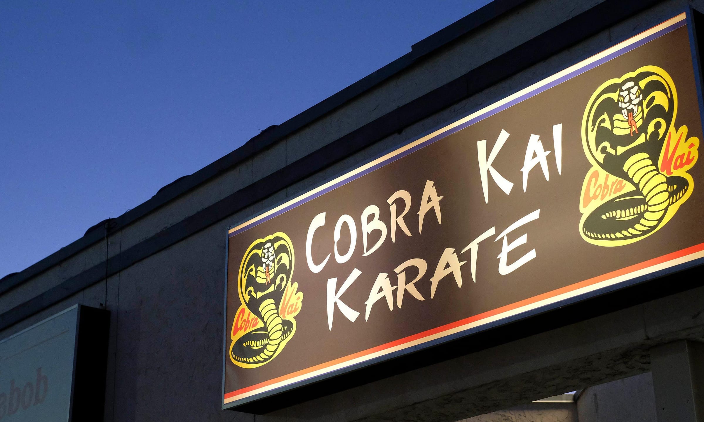 Top 10 Cobra Kai Characters that Deserved Better