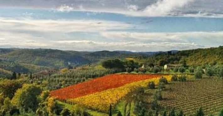 Wineries in Italy