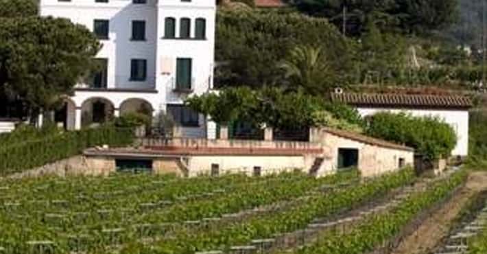 Wineries in Spain