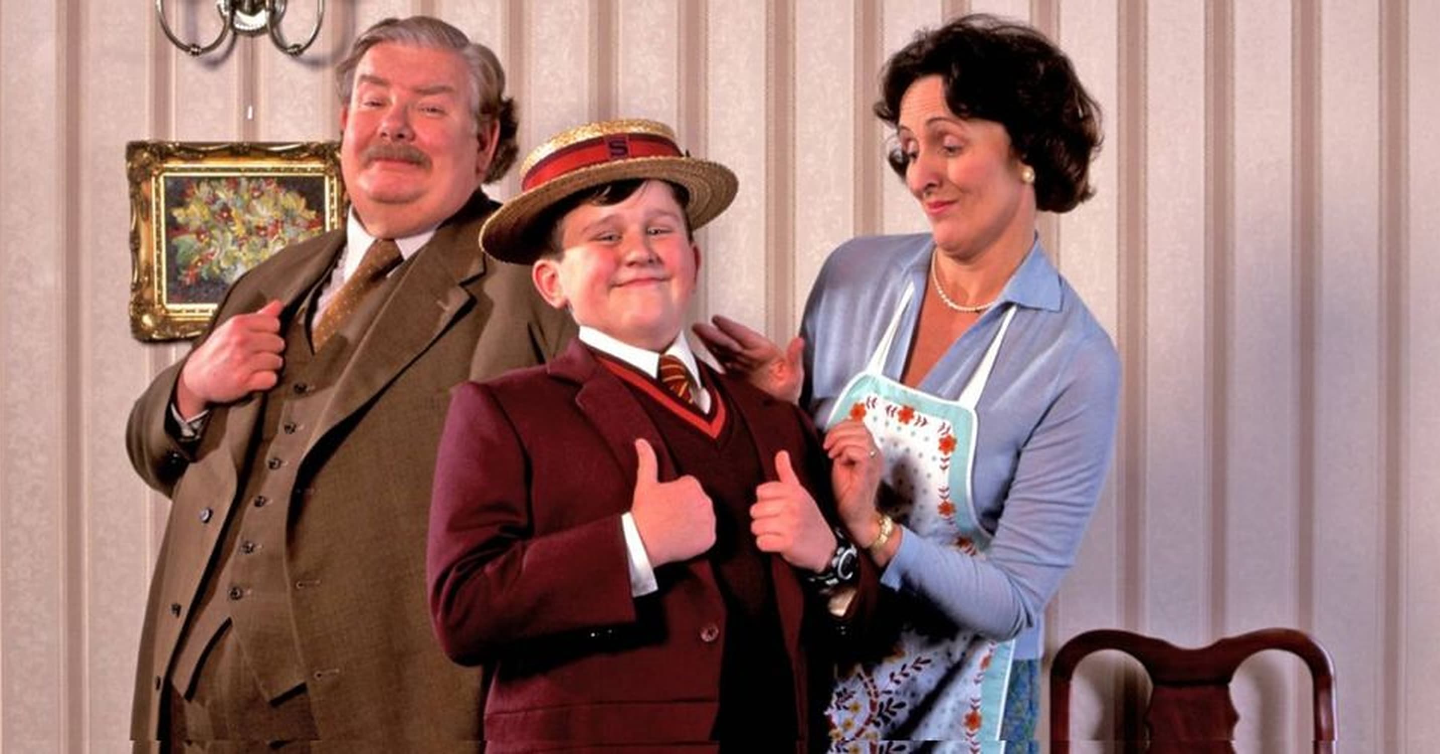 Harry Potter Mr Dursley - rex2aqp