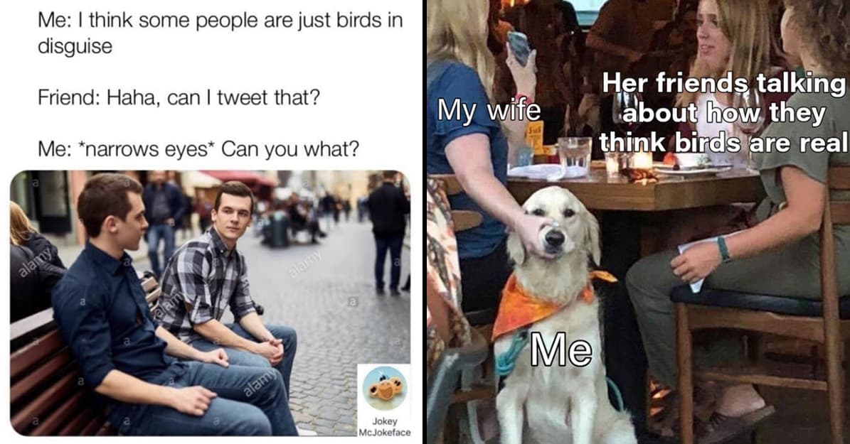 This Odd Subreddit Is Dedicated To The Idea That Birds Aren't Real, And