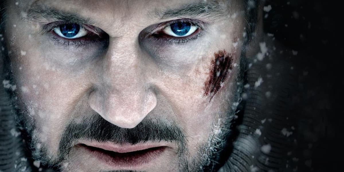 10 Liam Neeson Movies That Deserve Higher IMDb Ratings