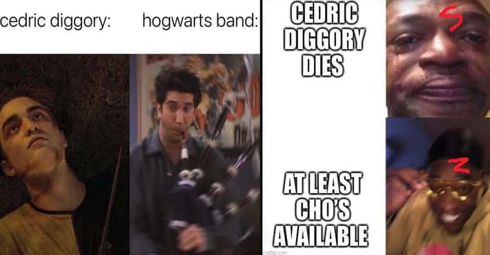 Memes About Cedric Diggory