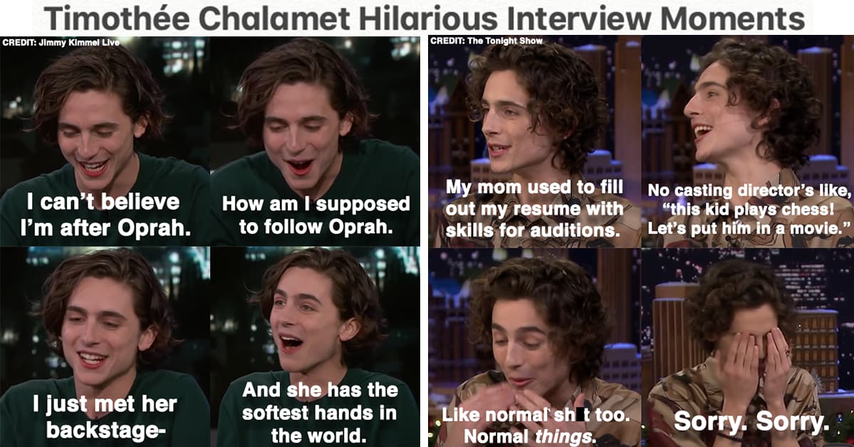 15 Timothée Chalamet Interview Moments That Prove He Needs To Be Protected At All Costs