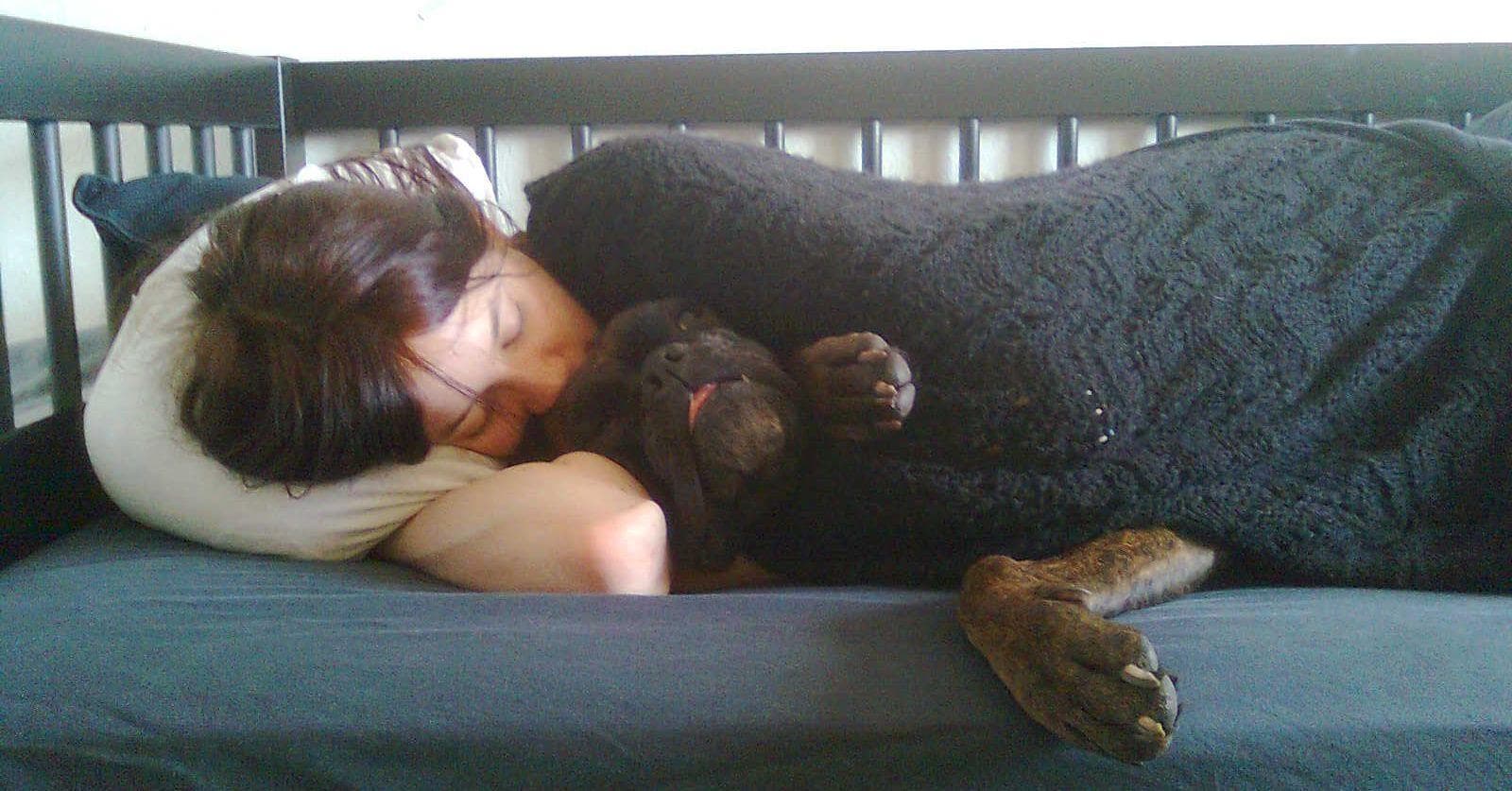 Weird History Readers Share The Beloved Movies That Put Them To Sleep