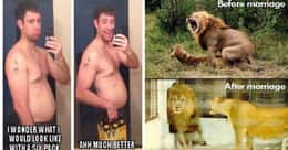 The Funniest 'Before And After' Memes Ever