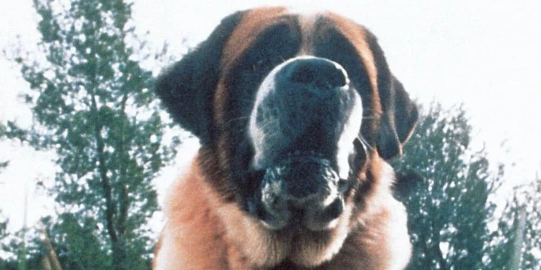 10 Unforgettable Horror Movie Dog Attacks That Still Haunt Viewers