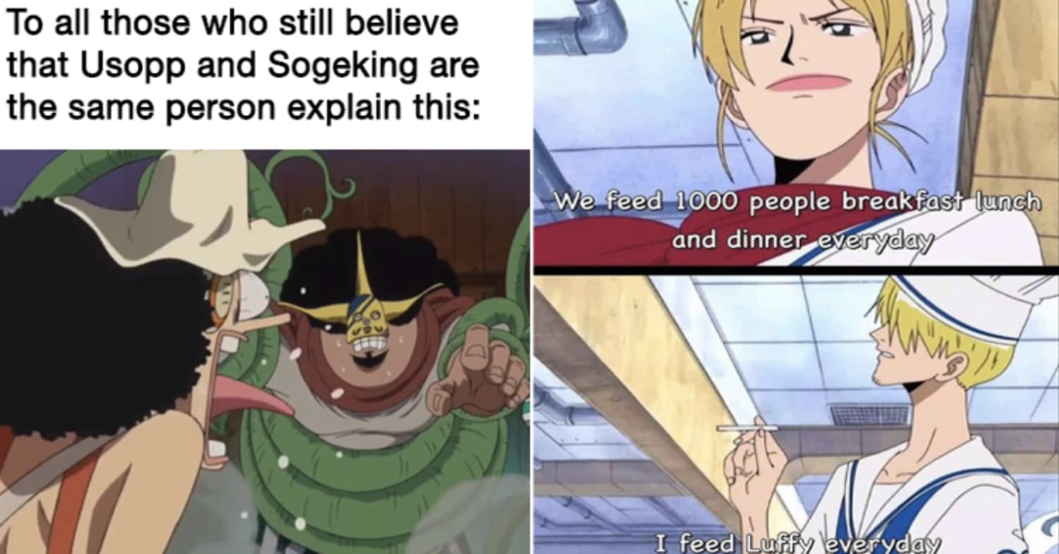 Expect the unexpected : MemePiece  One piece meme, One piece crew, One  piece funny