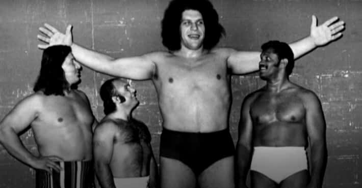 15 Stories That Prove André The Giant Was A Onc...