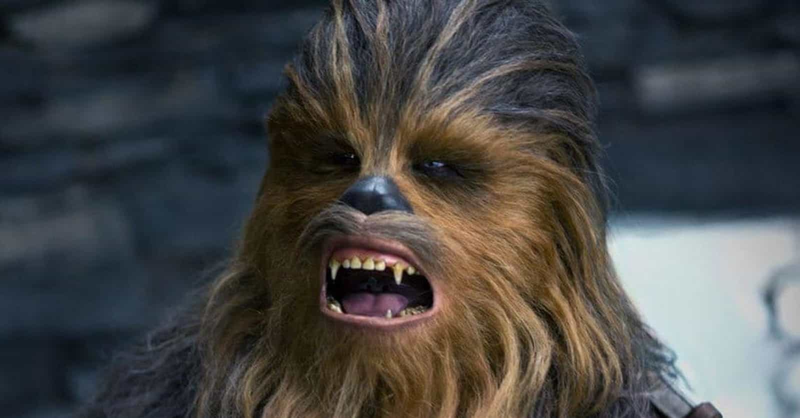 15 Things You Probably Didn't Know About Chewbacca