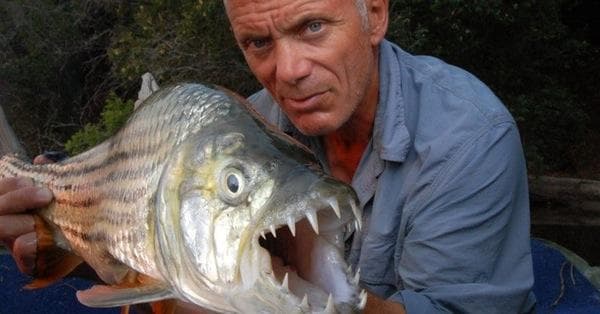 man eating catfish river monsters