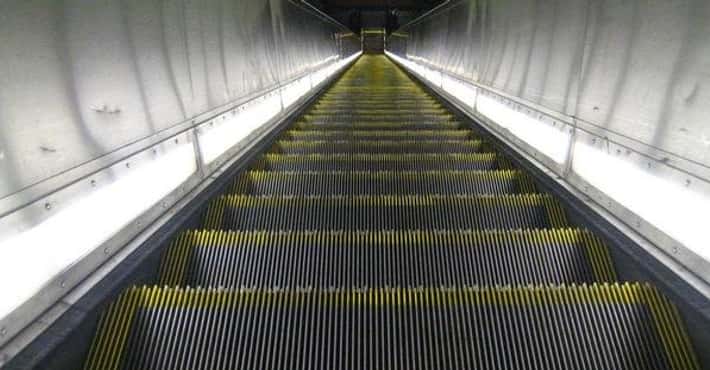 Reasons to Respect the Escalator