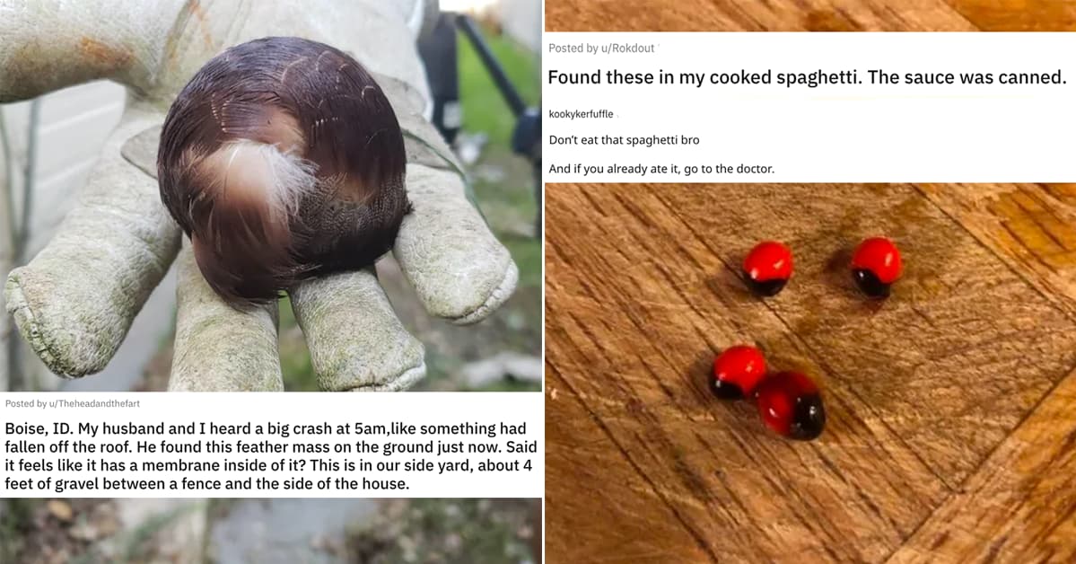 People Are Asking For Help To Identify Strange Objects And It Is Truly Fascinating