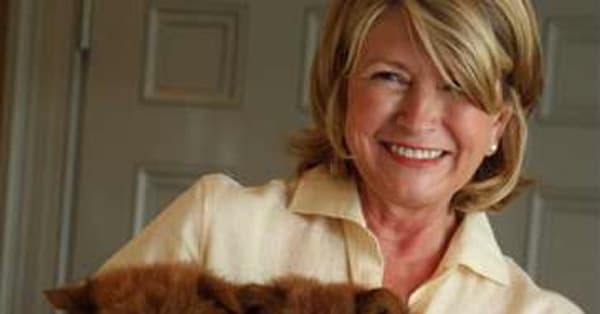 The Dumbest Celebrity Pet Names