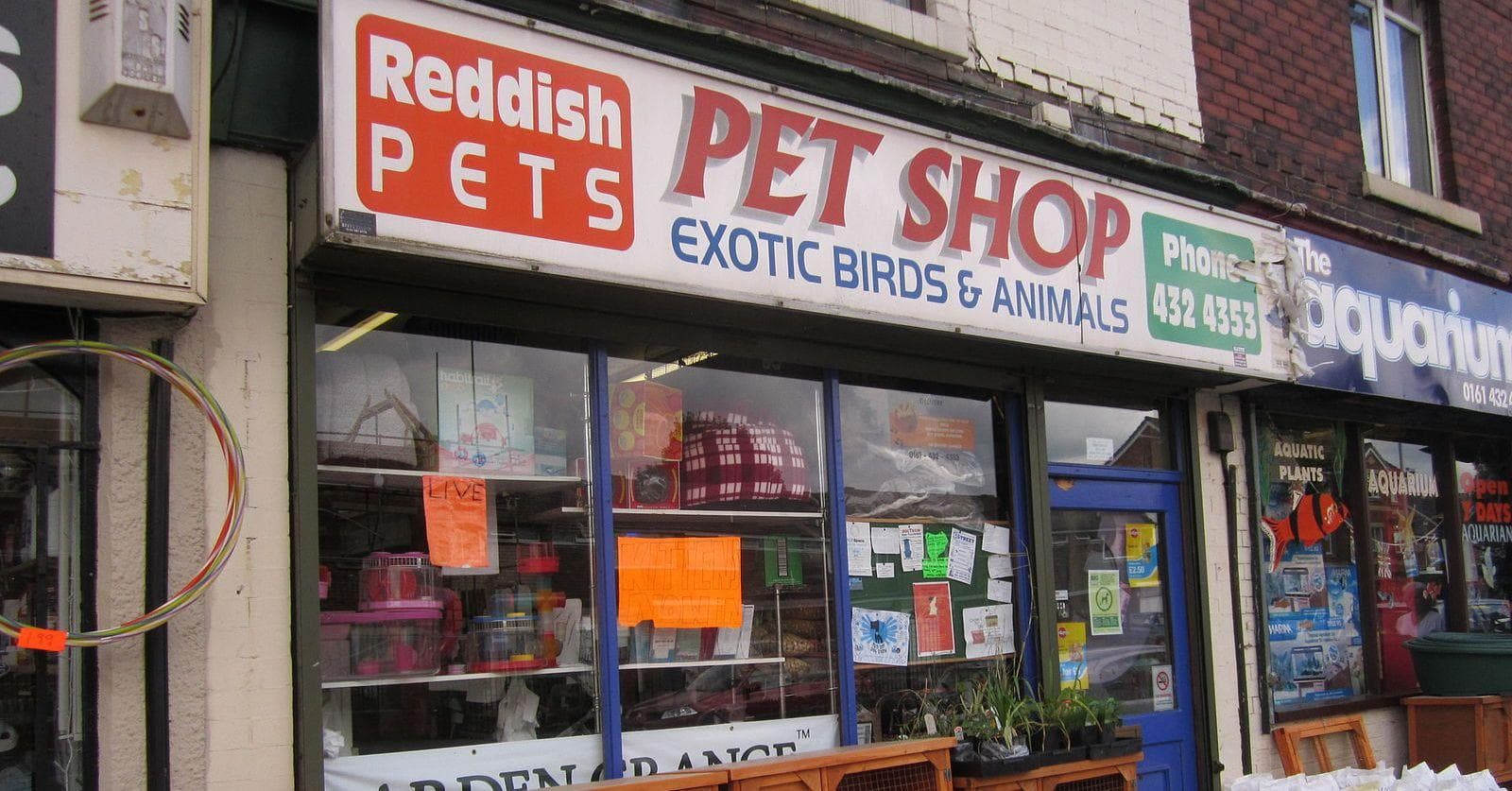 Low Maintenance Pets You Should Be Buying For Your Kids