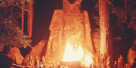 Creepy Stories and Theories About Bohemian Grove