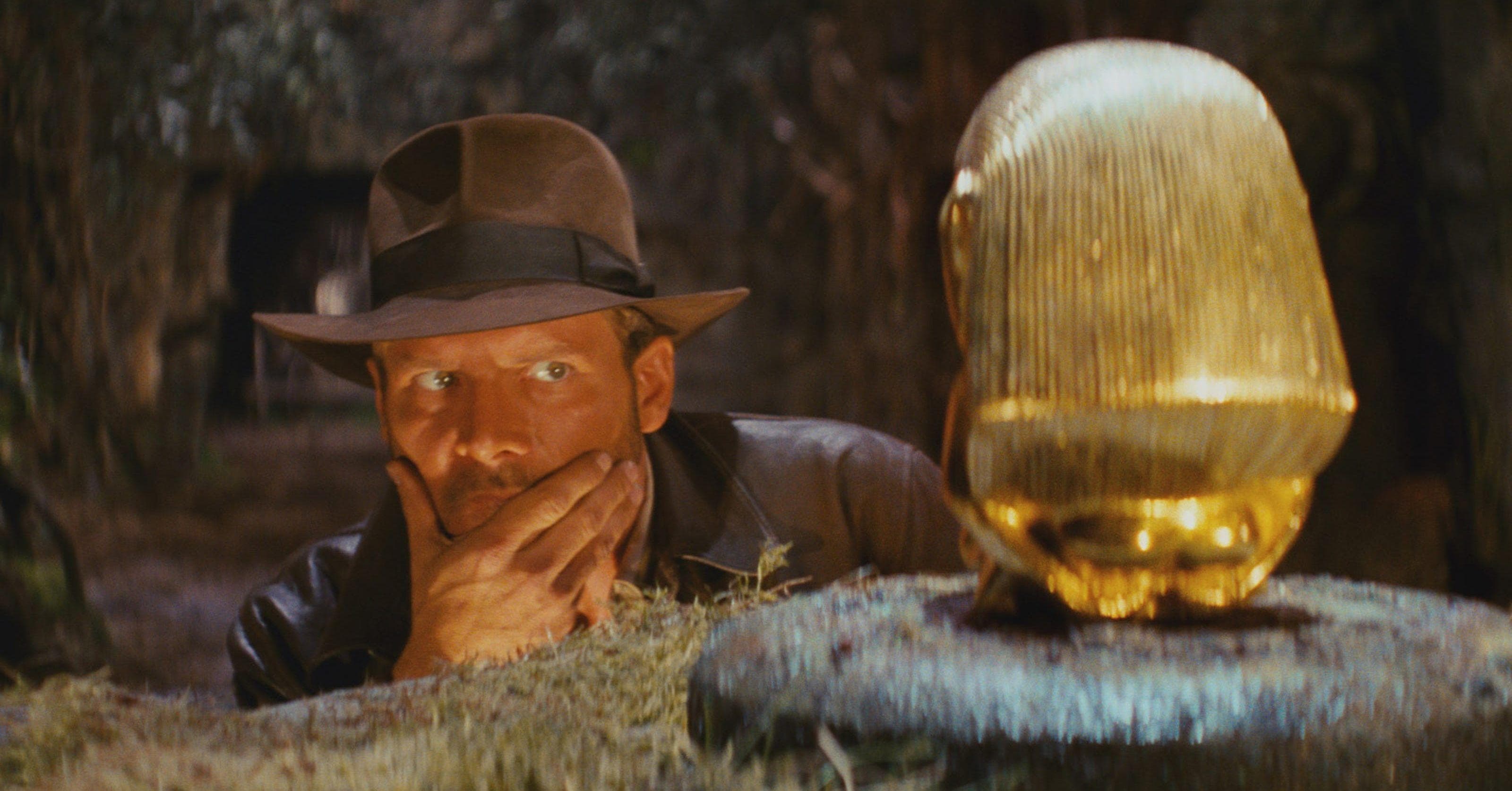 Indiana Jones Better Conquer That Fear of Snakes Because Harrison Ford Just  Had One Named After Him