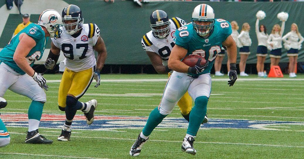 Miami Dolphins tight end Joey Haynos looks for a pass interference