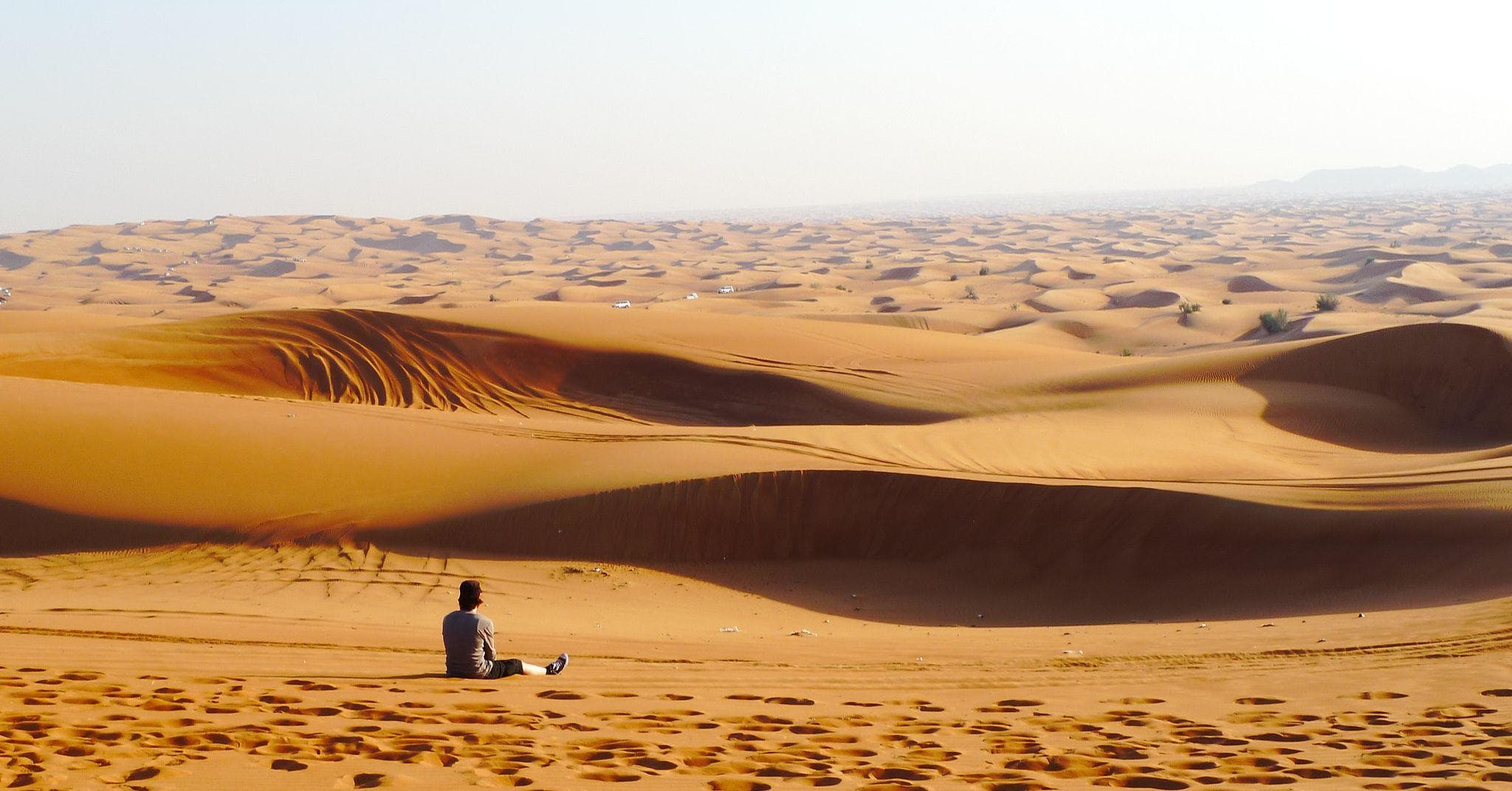 Facts We Can't Believe No One Told Us Before Now