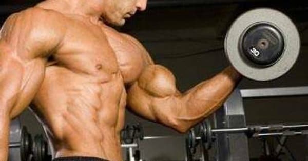 Best Ways to Build Muscle | List of Ways to Build Muscle