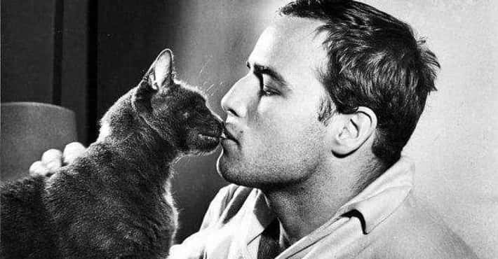 Cool Old Photos of Celebs with Their Cats