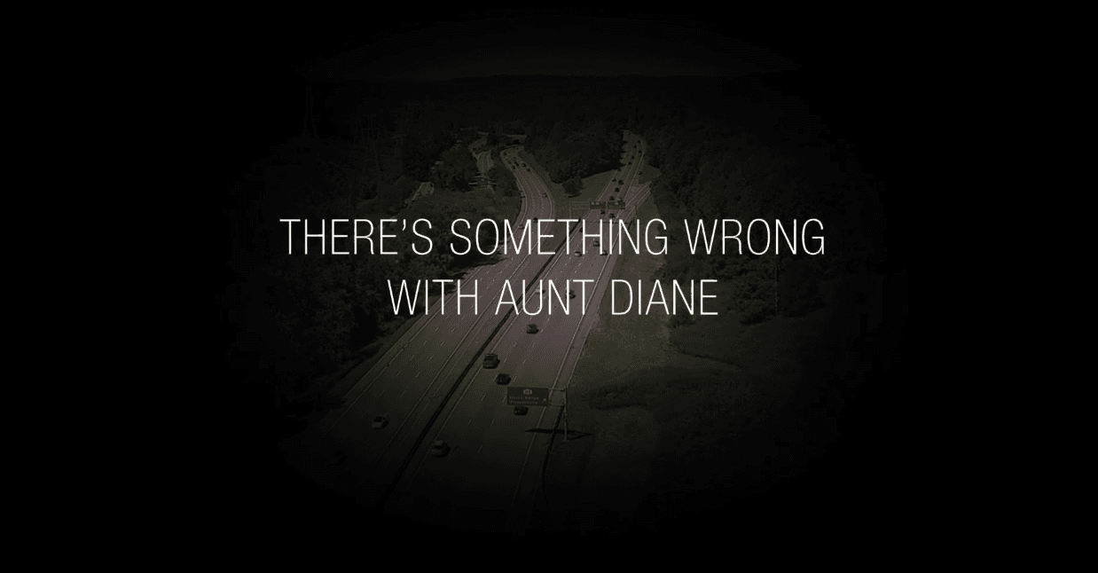 The Mystery Of Aunt Diane And The 09 Taconic State Parkway Crash