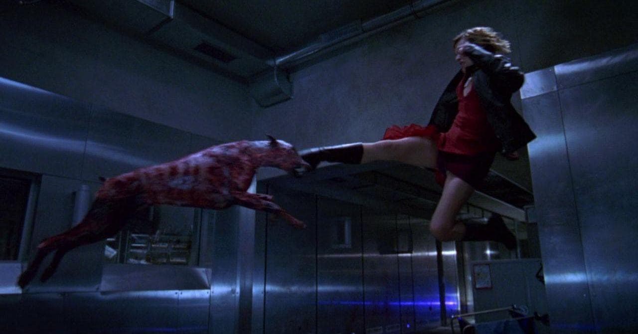 Graveyard Shift Fans Are Sharing The Horror Franchises That Got Worse With Each New Film