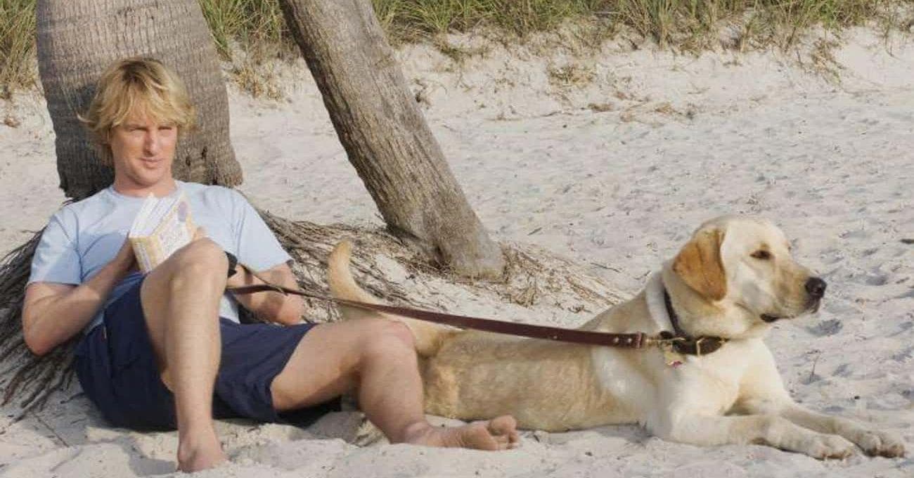 Ranker Readers Reveal The Movies That Were Too Sad To Watch More Than Once