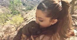 Ariana Grande Has So Many Pets And It's Incredible
