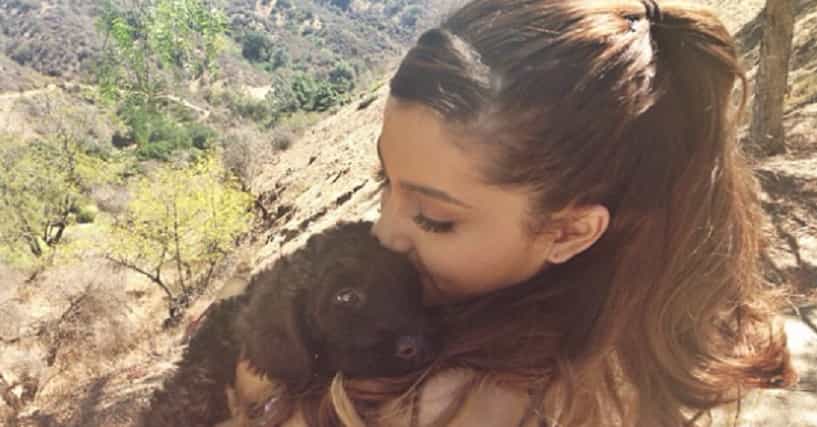 All Of Ariana Grande's Pets