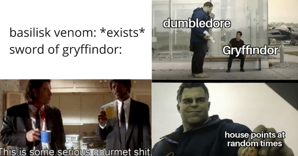 18 Harry Potter Memes Every Gryffindor Can Relate To