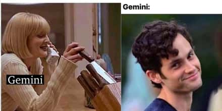 25 Of The Most Relatable Gemini Memes