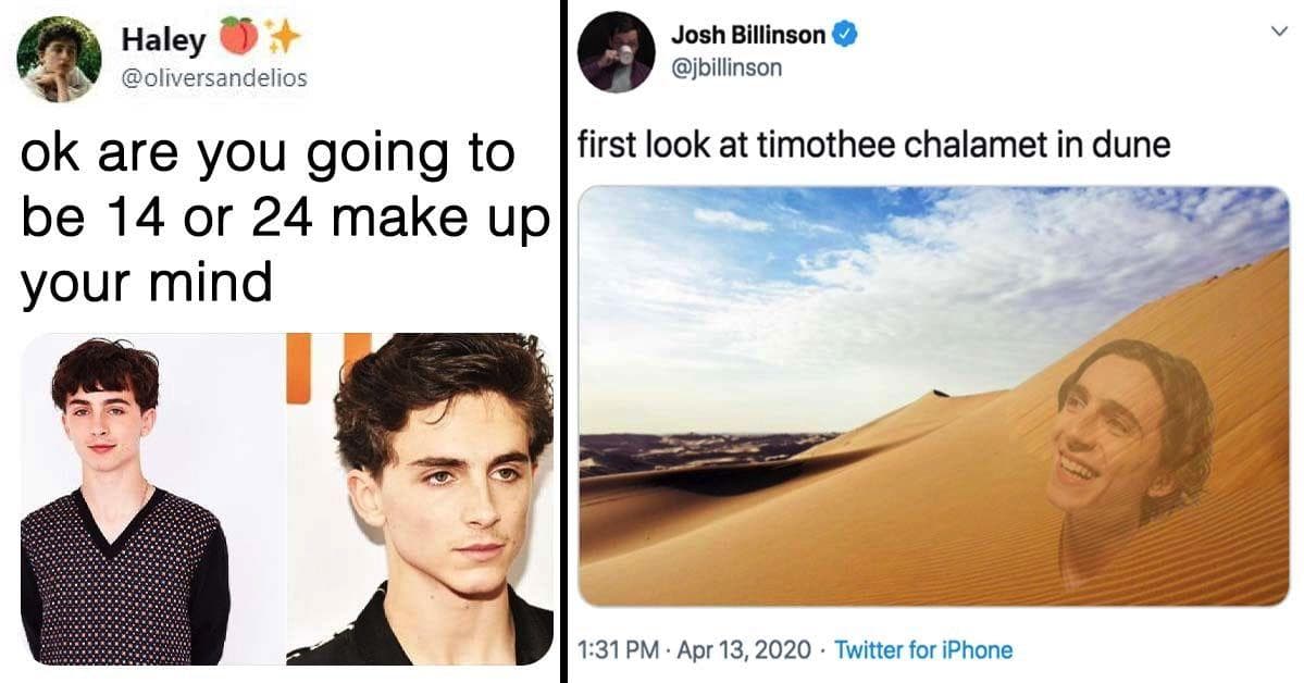 17 Hilarious Tweets About Timothée Chalamet That Made Us Laugh Way Too Hard